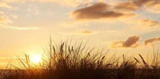 Urlaub in Blåvand: Ein echter Ferienspaß!