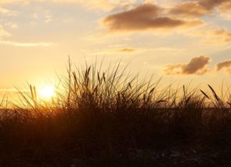Urlaub in Blåvand: Ein echter Ferienspaß!