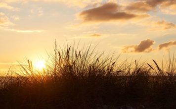 Urlaub in Blåvand: Ein echter Ferienspaß!