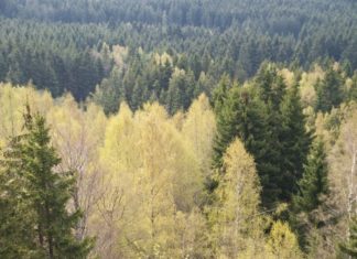 Reisetipps für Bradford