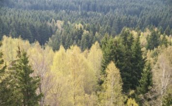 Reisetipps für Bradford